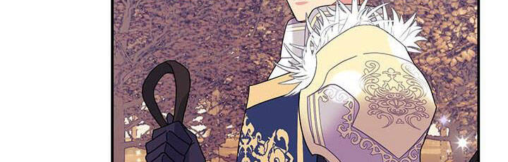 Công Chúa Của Loài Chim - Chương 49.1 - Trang 239