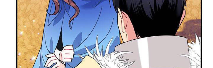 Công Chúa Của Loài Chim - Chương 49.1 - Trang 245