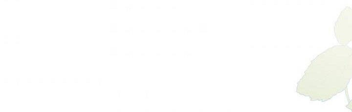 Công Chúa Của Loài Chim - Chương 49.1 - Trang 252