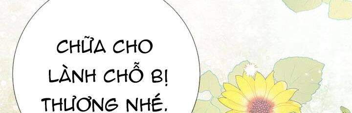 Công Chúa Của Loài Chim - Chương 49.1 - Trang 254