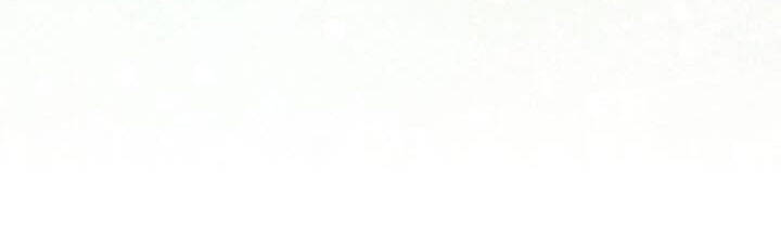 Công Chúa Của Loài Chim - Chương 49.1 - Trang 260