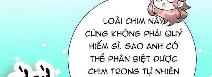 Công Chúa Của Loài Chim - Chương 49 - Trang 14