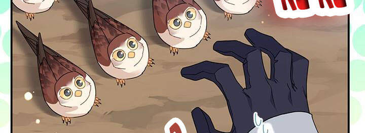 Công Chúa Của Loài Chim - Chương 49 - Trang 16