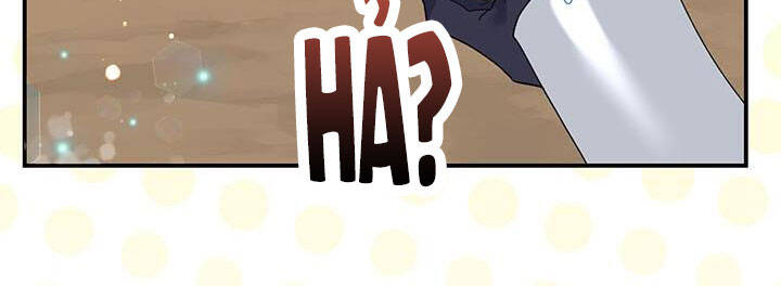 Công Chúa Của Loài Chim - Chương 49 - Trang 17