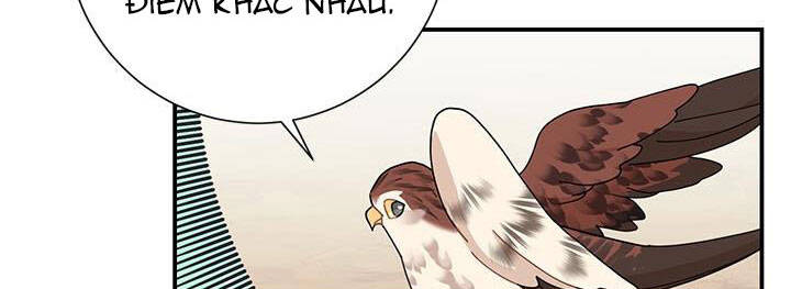 Công Chúa Của Loài Chim - Chương 49 - Trang 20
