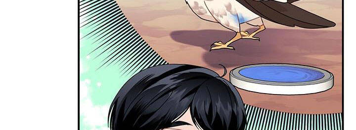 Công Chúa Của Loài Chim - Chương 49 - Trang 21