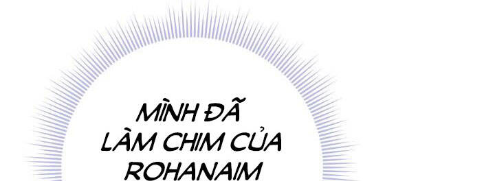 Công Chúa Của Loài Chim - Chương 49 - Trang 26