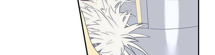 Công Chúa Của Loài Chim - Chương 49 - Trang 304