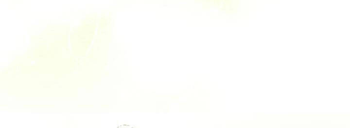 Công Chúa Của Loài Chim - Chương 49 - Trang 51