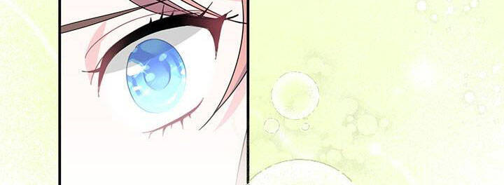 Công Chúa Của Loài Chim - Chương 49 - Trang 53