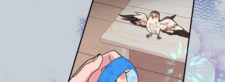 Công Chúa Của Loài Chim - Chương 49 - Trang 71