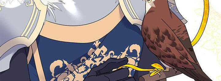 Công Chúa Của Loài Chim - Chương 49 - Trang 94