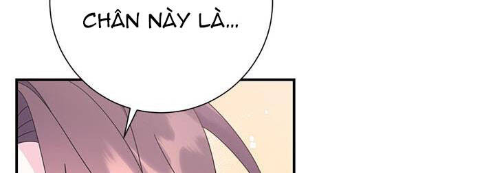 Công Chúa Của Loài Chim - Chương 50.1 - Trang 14