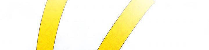 Công Chúa Của Loài Chim - Chương 50.1 - Trang 91