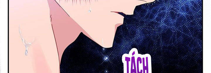 Công Chúa Của Loài Chim - Chương 50 - Trang 131