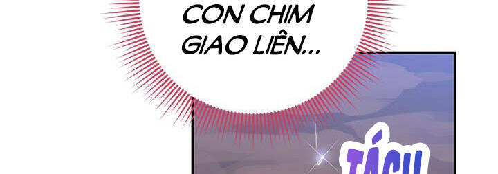 Công Chúa Của Loài Chim - Chương 50 - Trang 134