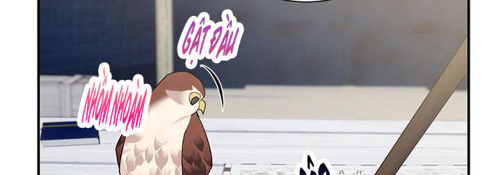 Công Chúa Của Loài Chim - Chương 50 - Trang 146