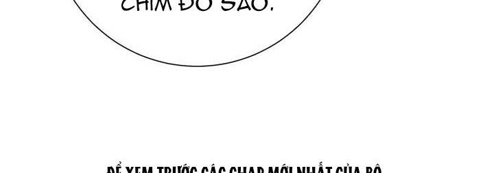 Công Chúa Của Loài Chim - Chương 50 - Trang 149