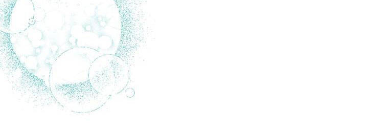 Công Chúa Của Loài Chim - Chương 50 - Trang 179