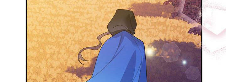 Công Chúa Của Loài Chim - Chương 50 - Trang 40