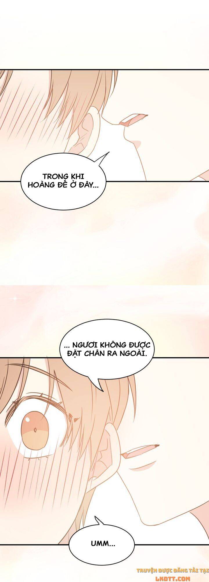 Tôi Sẽ Đi Đến Cùng Với Hoàng Đế - Chương 29 - Trang 7