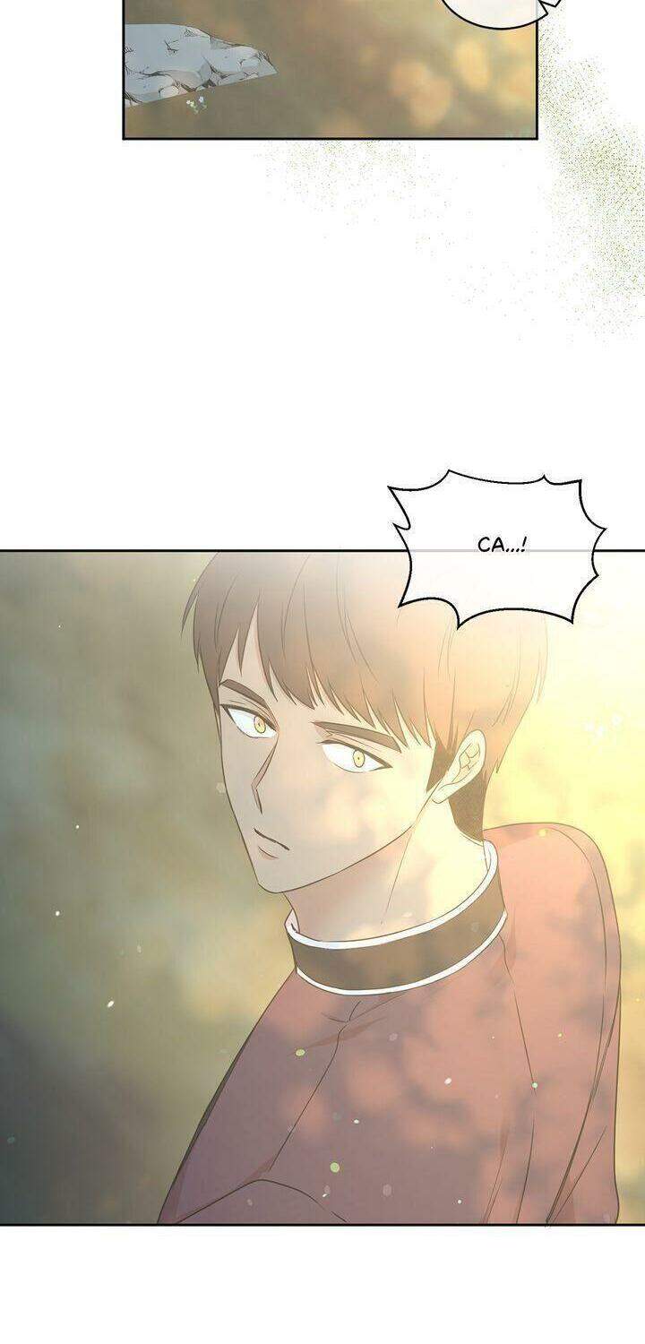 Tôi Sẽ Đi Đến Cùng Với Hoàng Đế - Chương 63 - Trang 28