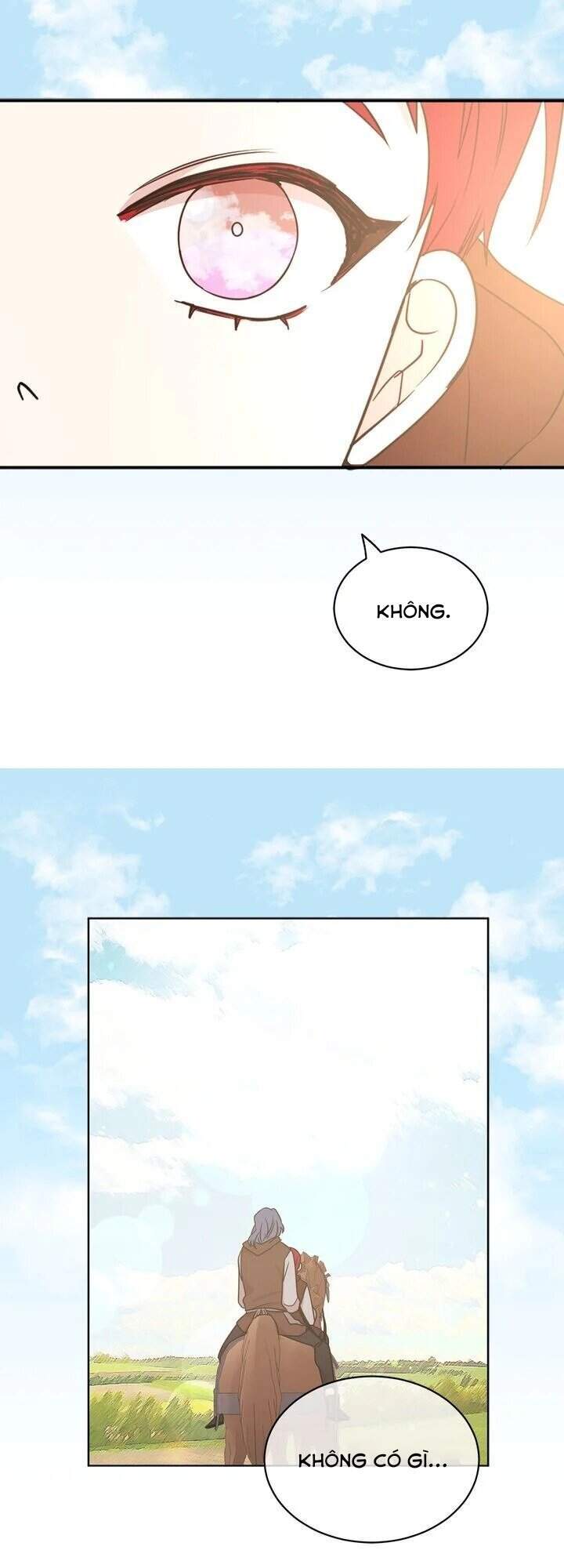 Tôi Sẽ Đi Đến Cùng Với Hoàng Đế - Chương 39 - Trang 13