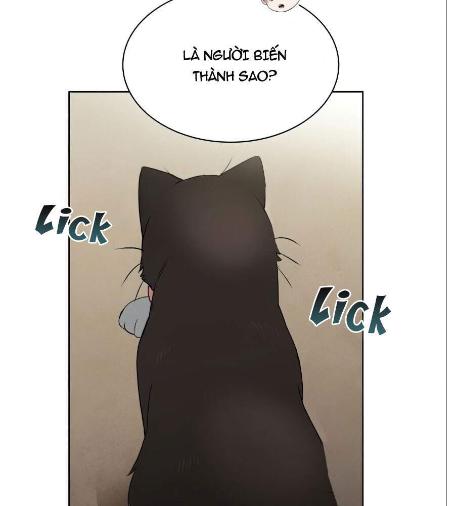 Con Đường Võ Giả Của Phế Vật - Chương 20 - Trang 27