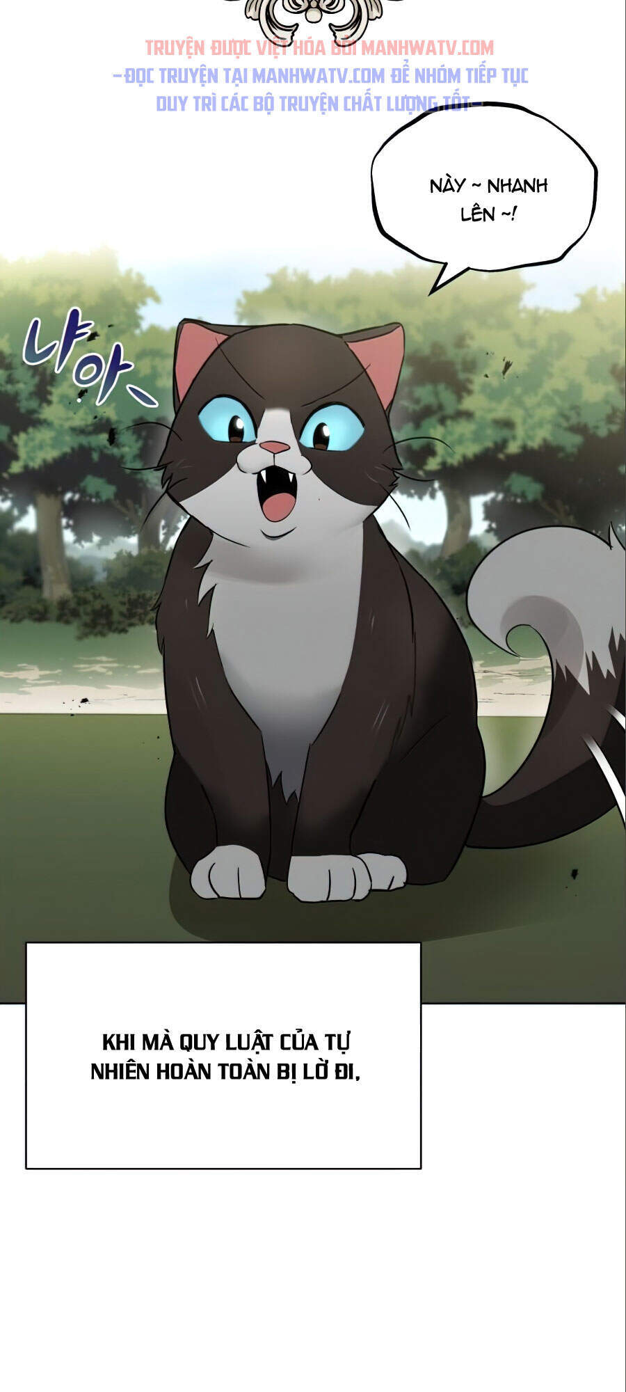 Con Đường Võ Giả Của Phế Vật - Chương 20 - Trang 10