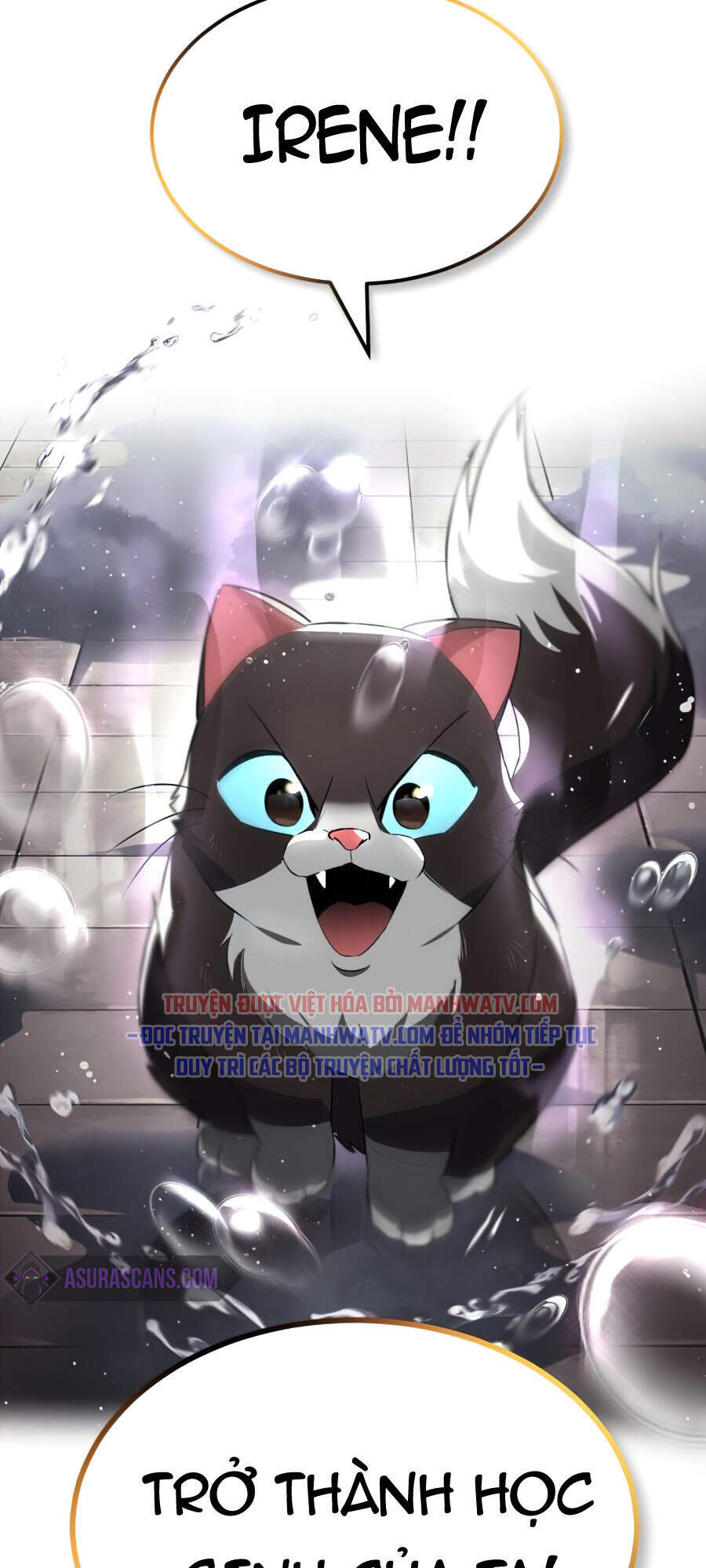 Con Đường Võ Giả Của Phế Vật - Chương 21 - Trang 141