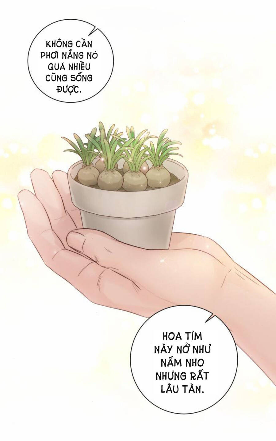 Kết Thúc Nhất Định Sẽ Có Hậu - Chương 50 - Trang 24