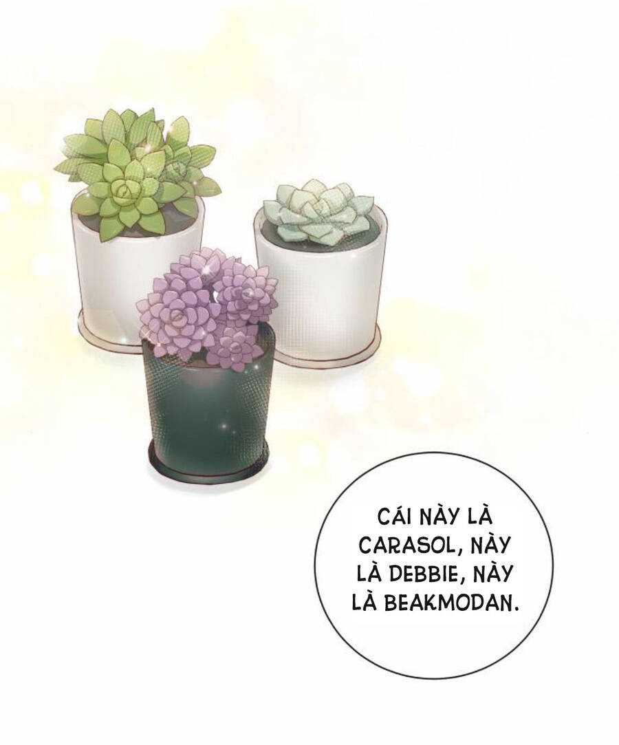 Kết Thúc Nhất Định Sẽ Có Hậu - Chương 50 - Trang 26