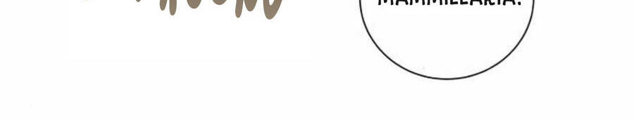 Kết Thúc Nhất Định Sẽ Có Hậu - Chương 50 - Trang 52