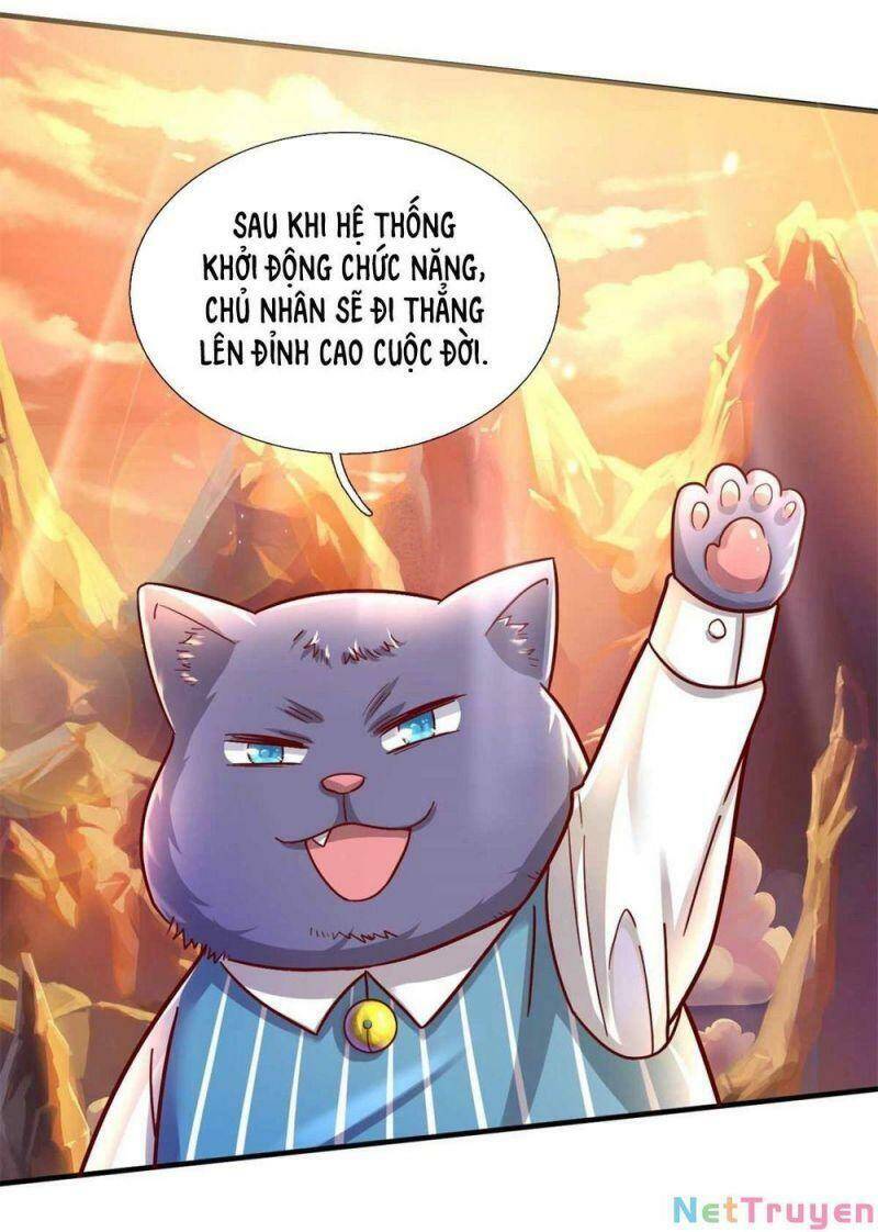Thuộc Tính Của Ta Đều Thêm Sức Mạnh - Chương 6 - Trang 19