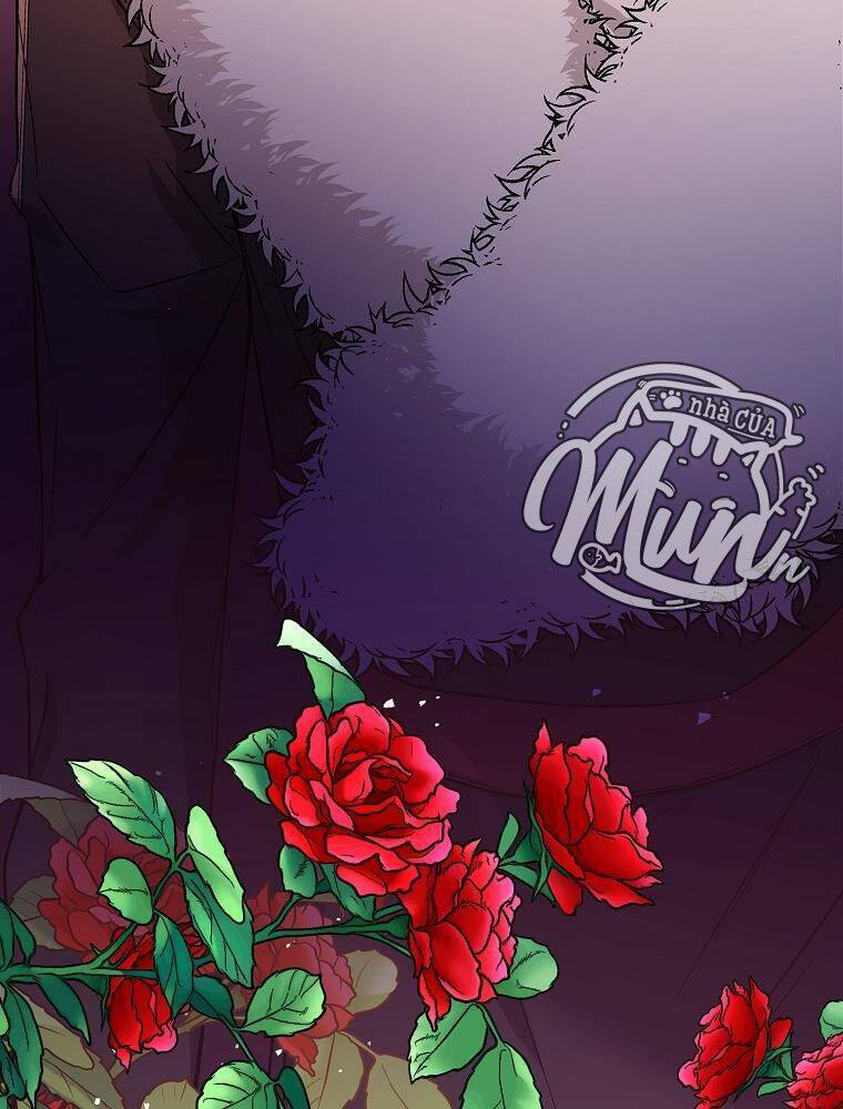 Tôi Không Cố Ý Quyến Rũ Nam Chính Đâu! - Chương 41 - Trang 29