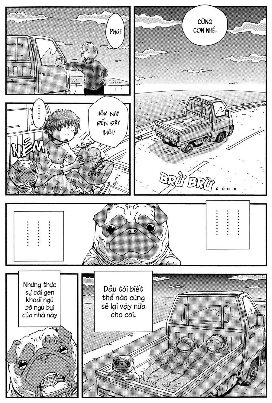 Chú Chó Gác Sao - Chương 13 - Trang 17
