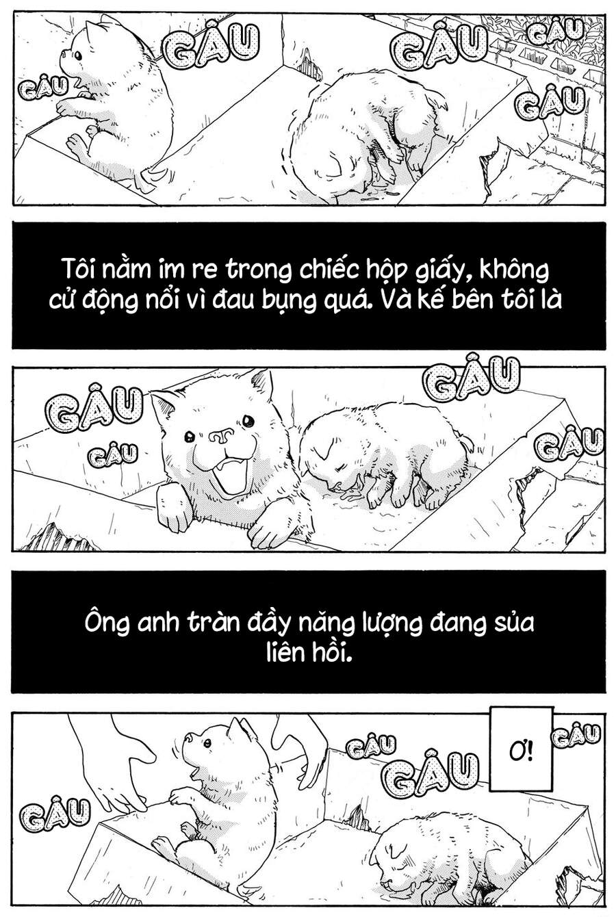 Chú Chó Gác Sao - Chương 7 - Trang 9