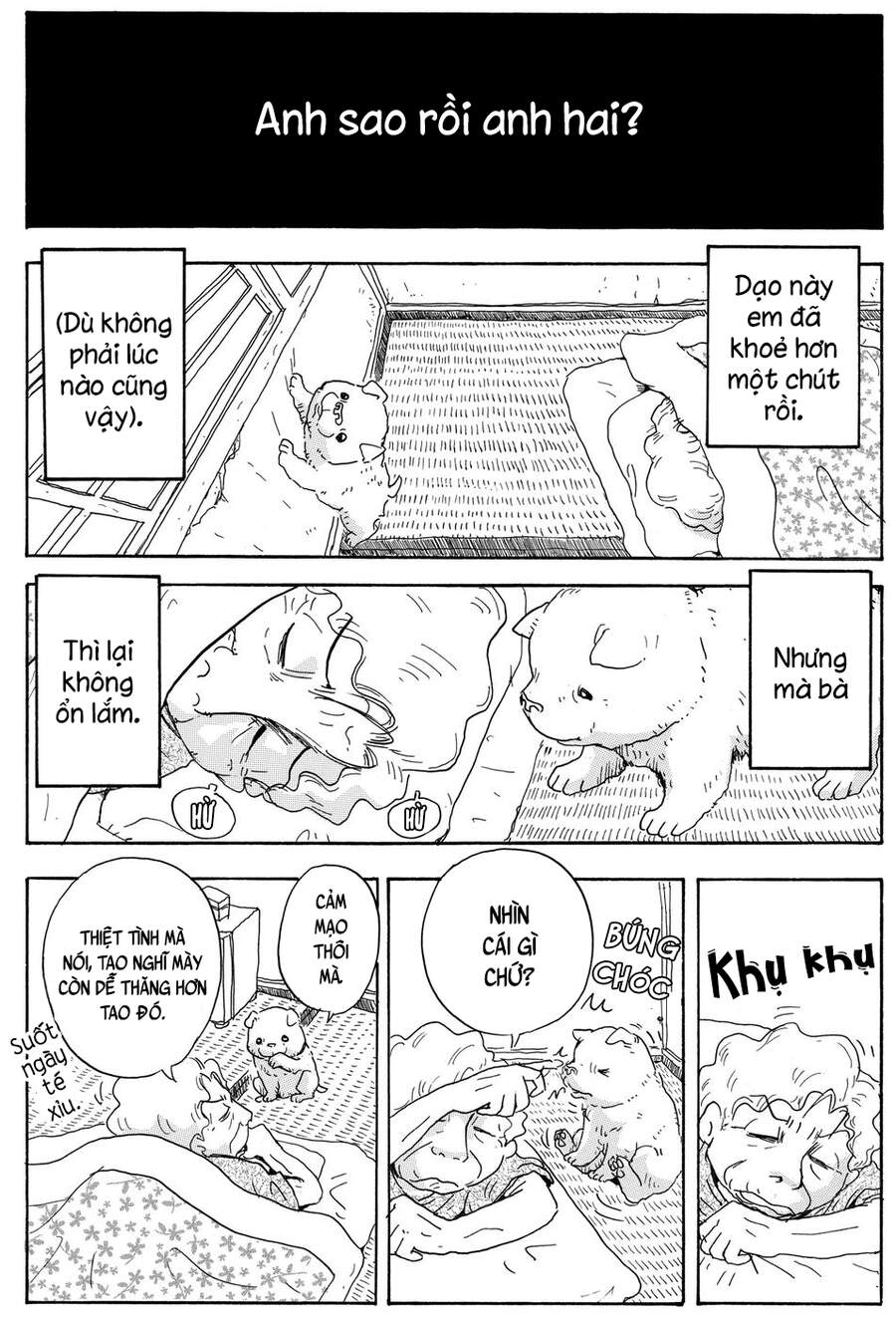 Chú Chó Gác Sao - Chương 8 - Trang 2