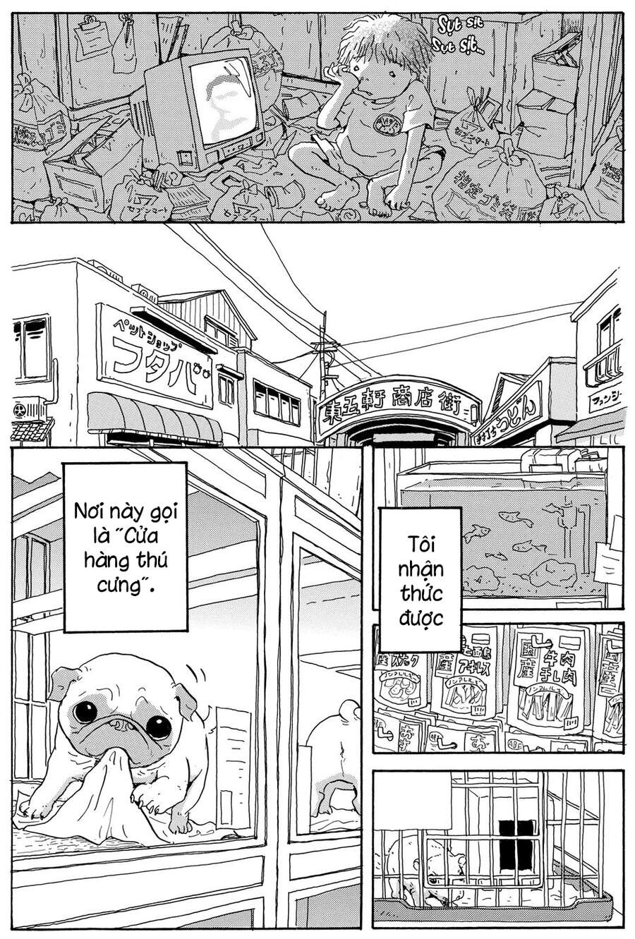 Chú Chó Gác Sao - Chương 9 - Trang 11