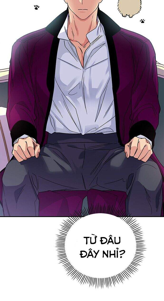 Vợ Yêu, Anh Sắp Trụ Không Nổi - Chương 5 - Trang 52