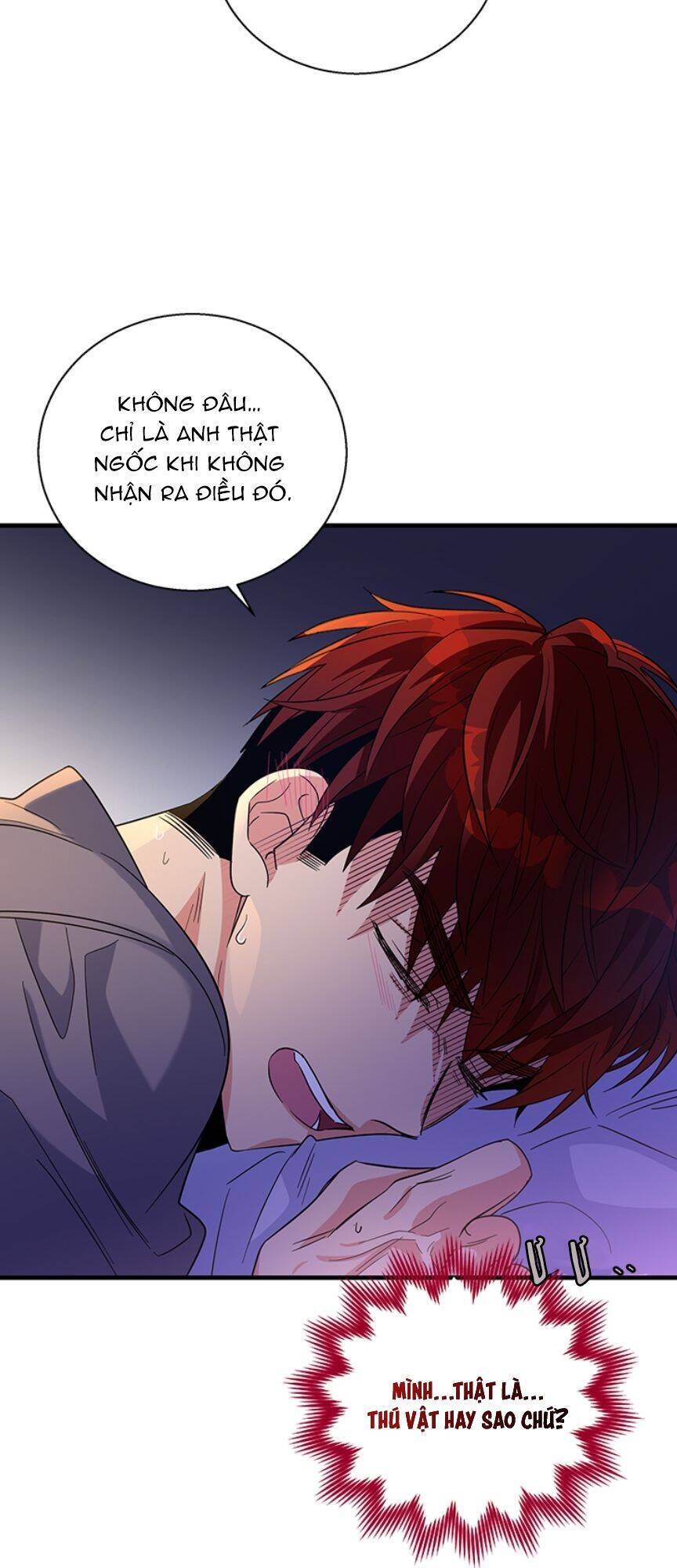 Vợ Yêu, Anh Sắp Trụ Không Nổi - Chương 36 - Trang 30