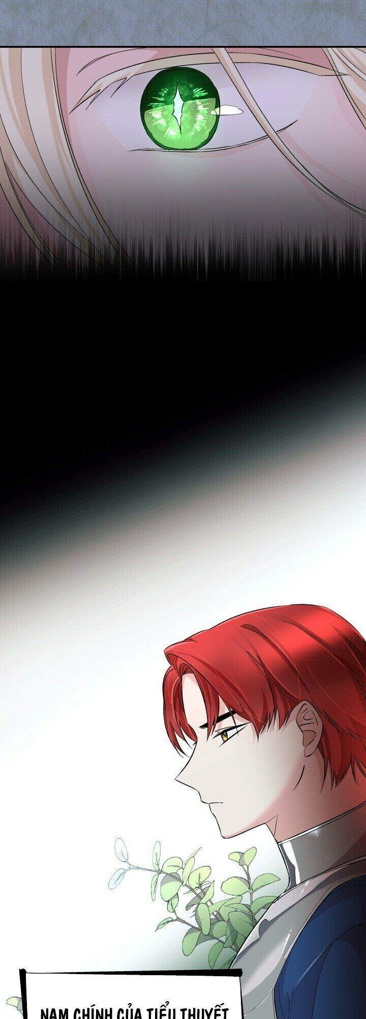 Tôi Đánh Mất Dây Xích Kiềm Chế Nam Chính Hắc Ám - Chương 12 - Trang 22