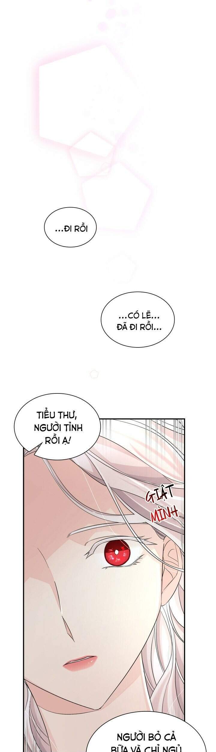 Tôi Đánh Mất Dây Xích Kiềm Chế Nam Chính Hắc Ám - Chương 23 - Trang 12