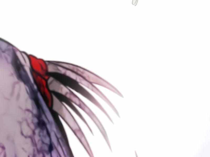 Kẻ Đa Tài - Chương 27.5 - Trang 125