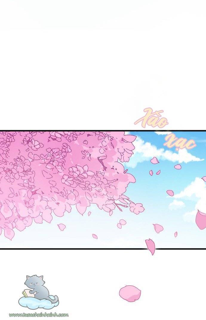 Cô Đi Mà Kết Hôn Với Chồng Tôi Đi - Chương 1 - Trang 14