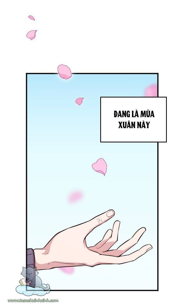 Cô Đi Mà Kết Hôn Với Chồng Tôi Đi - Chương 1 - Trang 15