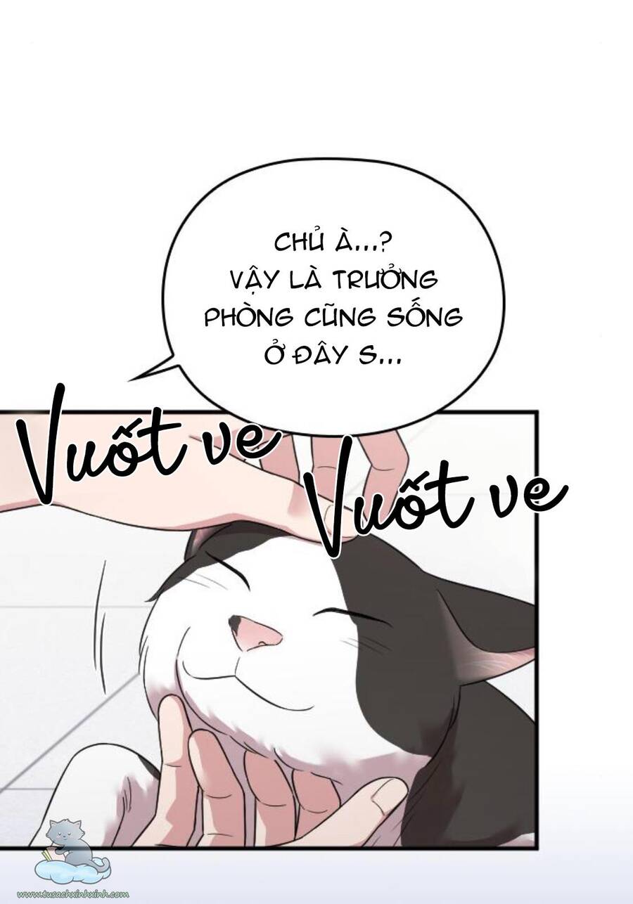 Cô Đi Mà Kết Hôn Với Chồng Tôi Đi - Chương 25 - Trang 84