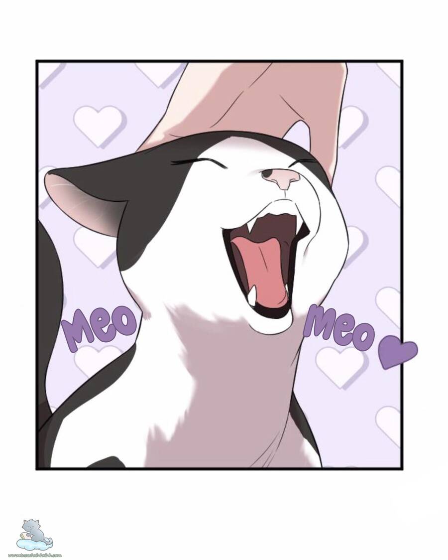 Cô Đi Mà Kết Hôn Với Chồng Tôi Đi - Chương 31 - Trang 102