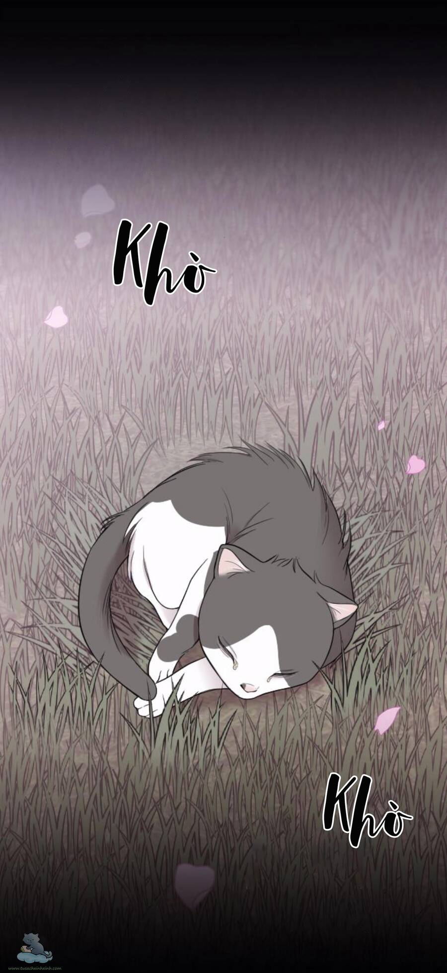 Cô Đi Mà Kết Hôn Với Chồng Tôi Đi - Chương 32 - Trang 15