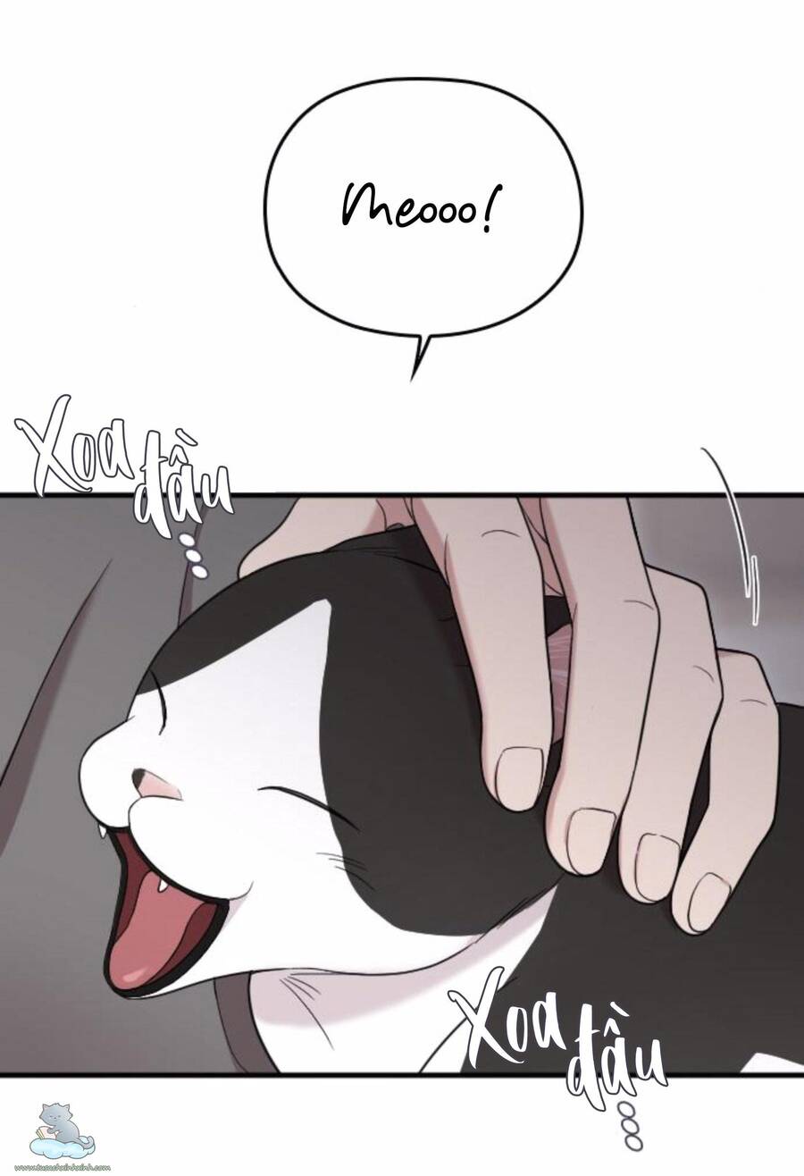 Cô Đi Mà Kết Hôn Với Chồng Tôi Đi - Chương 32 - Trang 38